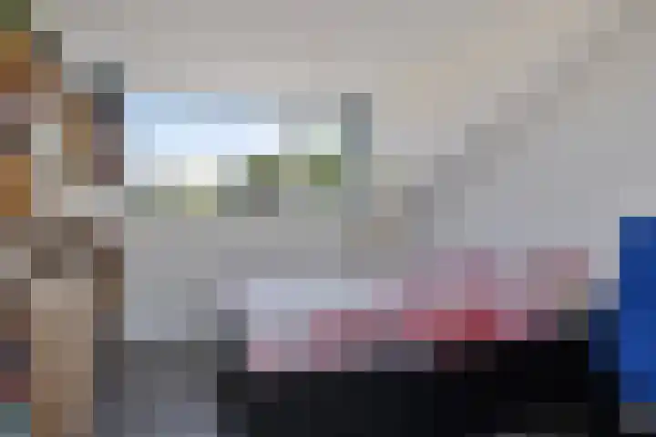 Dagpauwoog 3 Breda thumbnail 30