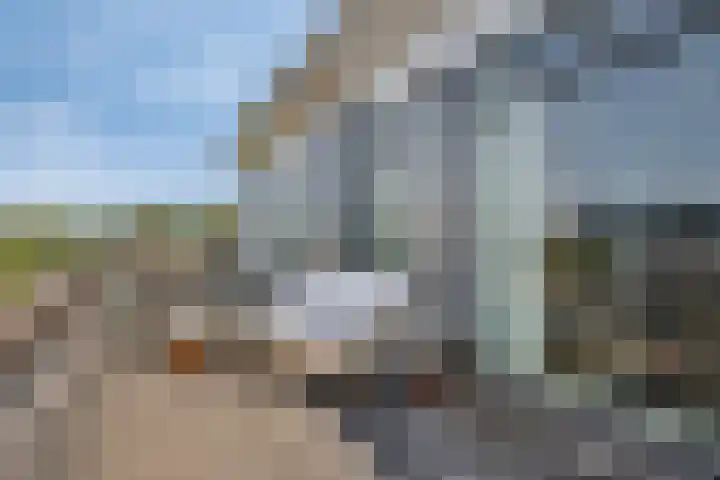 Dagpauwoog 3 Breda thumbnail 33