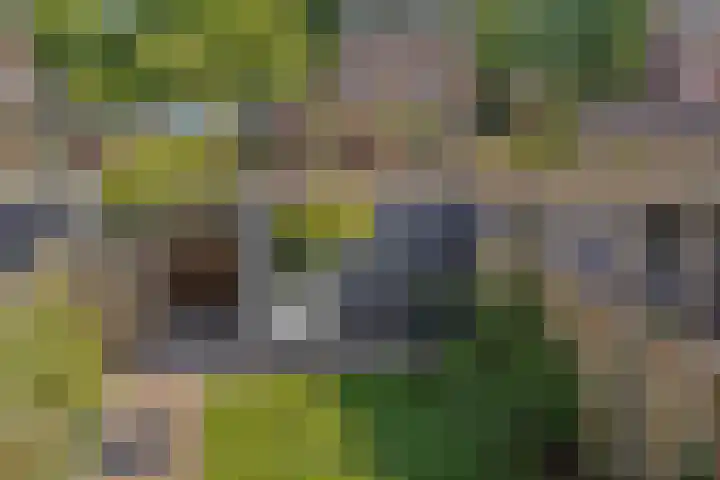Dagpauwoog 3 Breda thumbnail 35