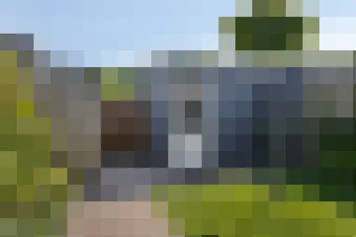 Dagpauwoog 3 Breda thumbnail 38