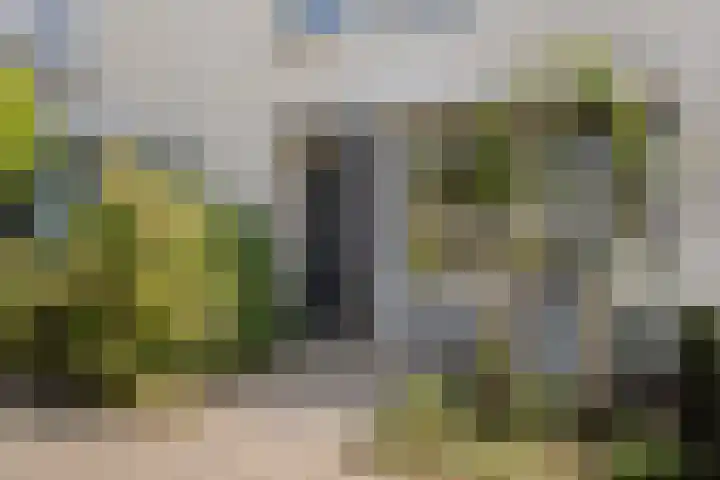 Dagpauwoog 3 Breda thumbnail 4