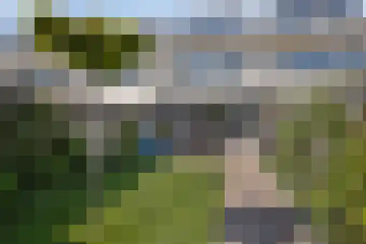 Dagpauwoog 3 Breda thumbnail 40