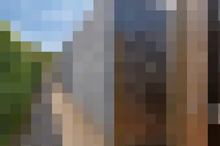 Dagpauwoog 3 Breda thumbnail 41