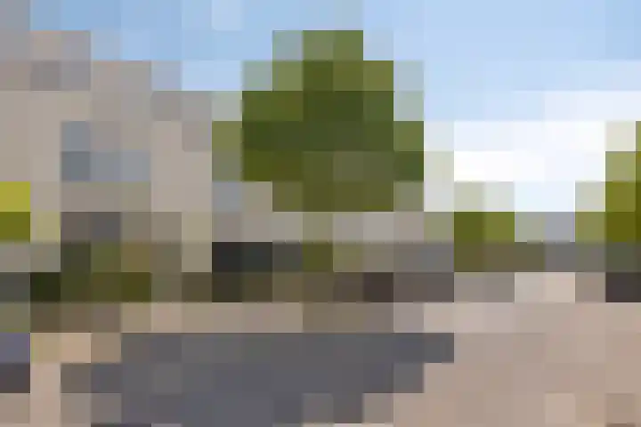 Dagpauwoog 3 Breda thumbnail 42
