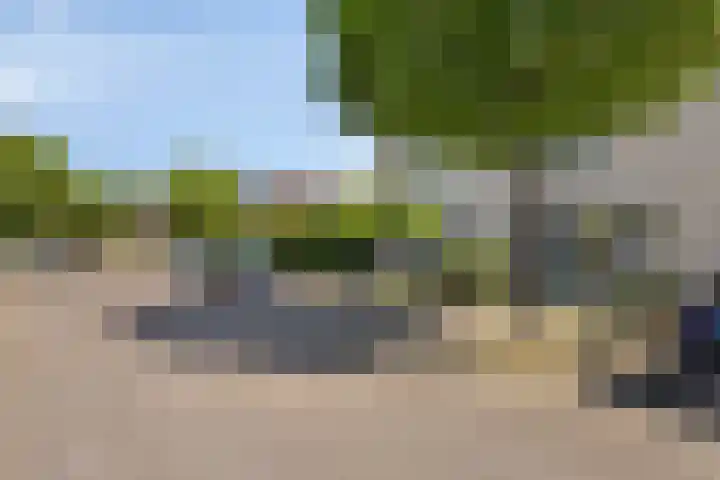 Dagpauwoog 3 Breda thumbnail 43