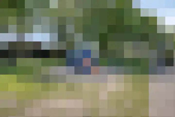 Dagpauwoog 3 Breda thumbnail 44