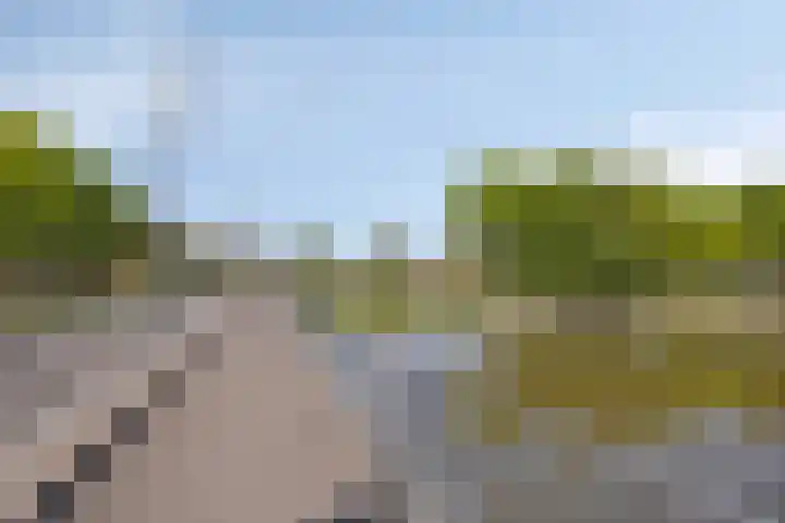 Dagpauwoog 3 Breda thumbnail 45