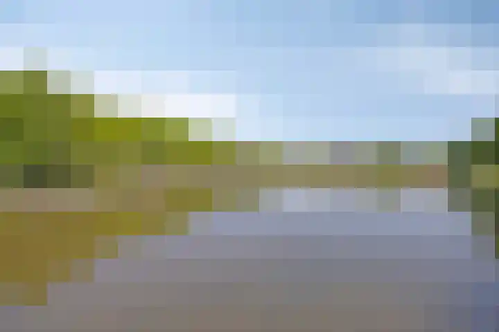 Dagpauwoog 3 Breda thumbnail 46