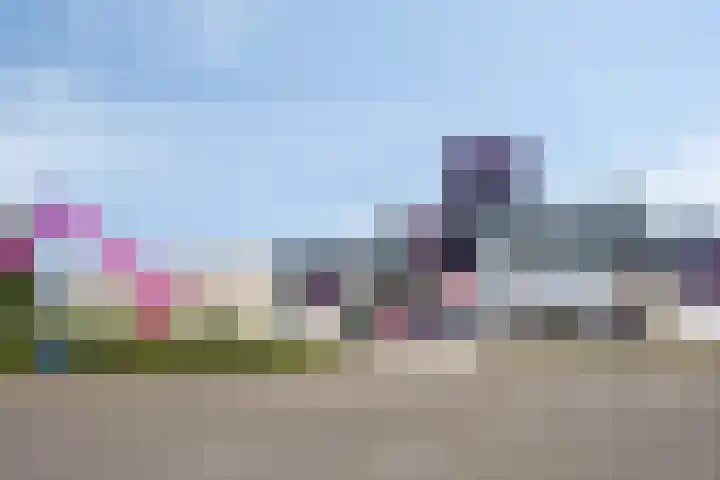 Dagpauwoog 3 Breda thumbnail 47