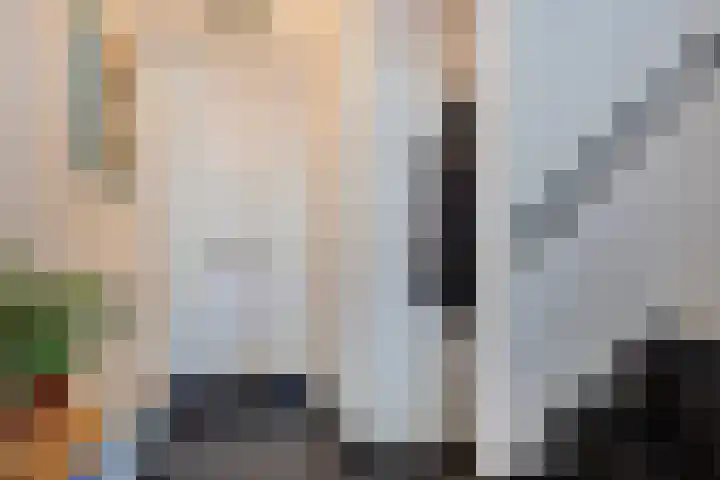 Dagpauwoog 3 Breda thumbnail 5