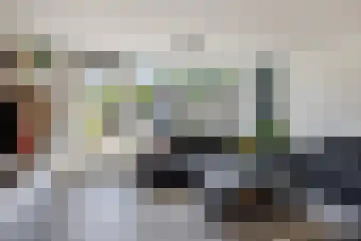 Dagpauwoog 3 Breda thumbnail 7
