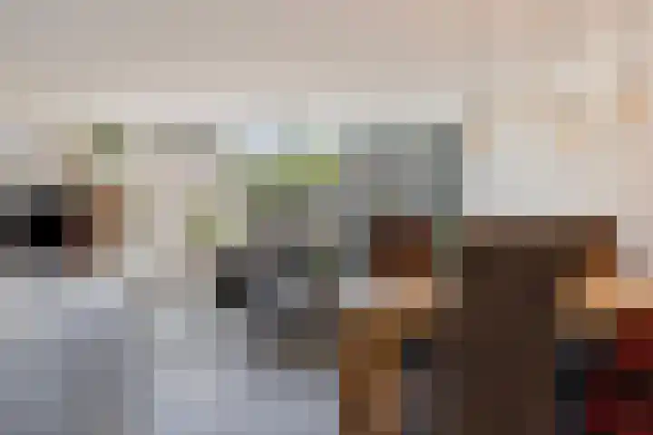 Dagpauwoog 3 Breda thumbnail 9
