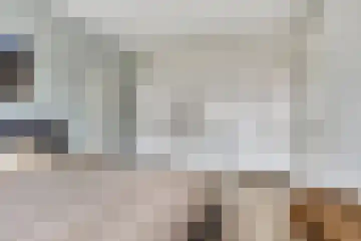 Dagpauwoog 30 Wolvega thumbnail 13