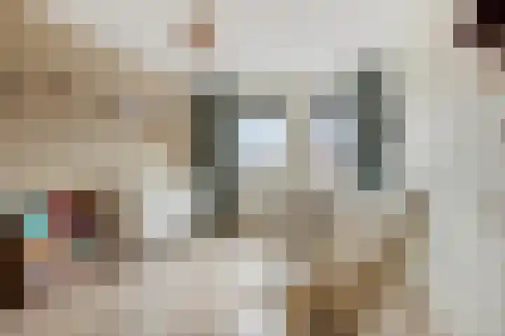 Dagpauwoog 30 Wolvega thumbnail 14