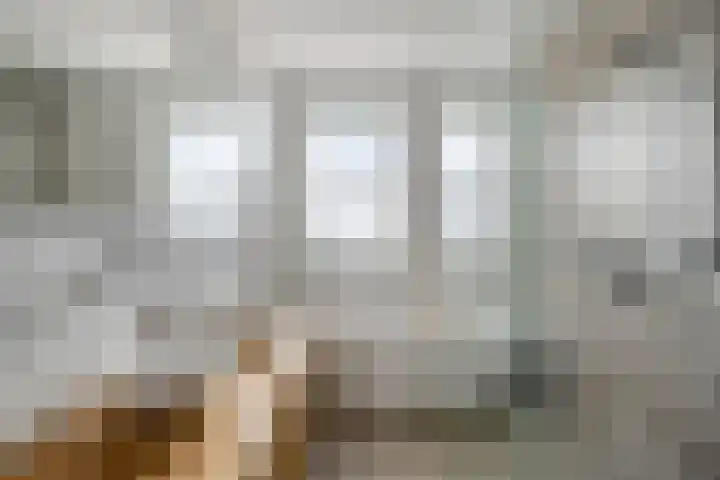 Dagpauwoog 30 Wolvega thumbnail 17