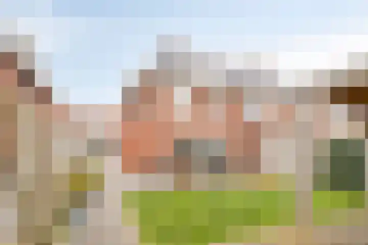 Dagpauwoog 30 Wolvega thumbnail 23