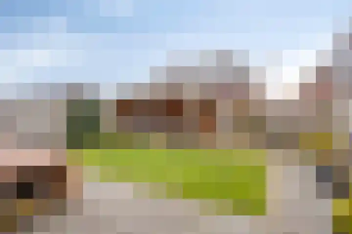 Dagpauwoog 30 Wolvega thumbnail 24