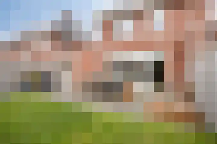 Dagpauwoog 30 Wolvega thumbnail 25