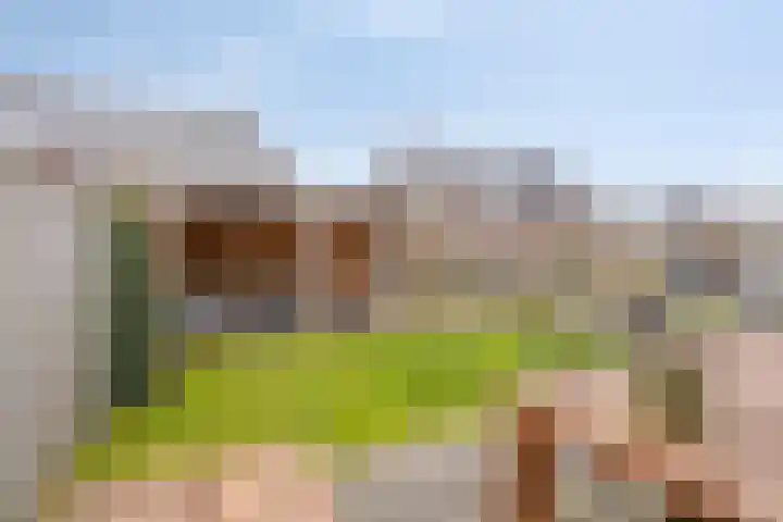 Dagpauwoog 30 Wolvega thumbnail 26