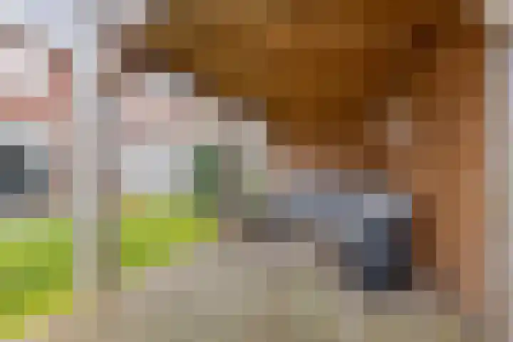 Dagpauwoog 30 Wolvega thumbnail 27