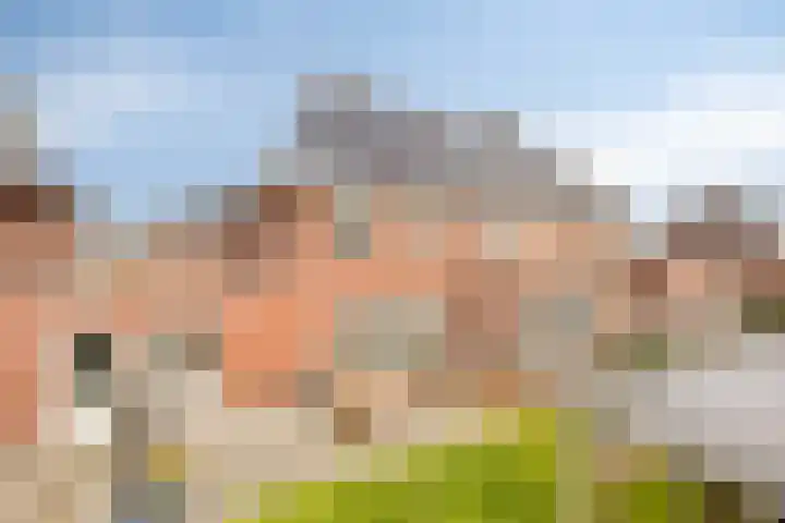 Dagpauwoog 30 Wolvega thumbnail 29