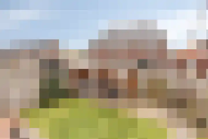 Dagpauwoog 30 Wolvega thumbnail 30
