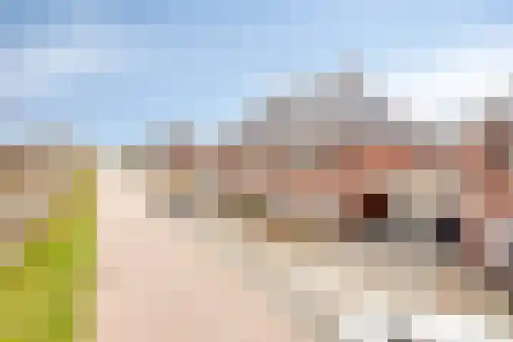 Dagpauwoog 30 Wolvega thumbnail 31