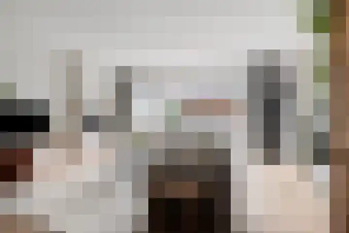 Dagpauwoog 30 Wolvega thumbnail 4