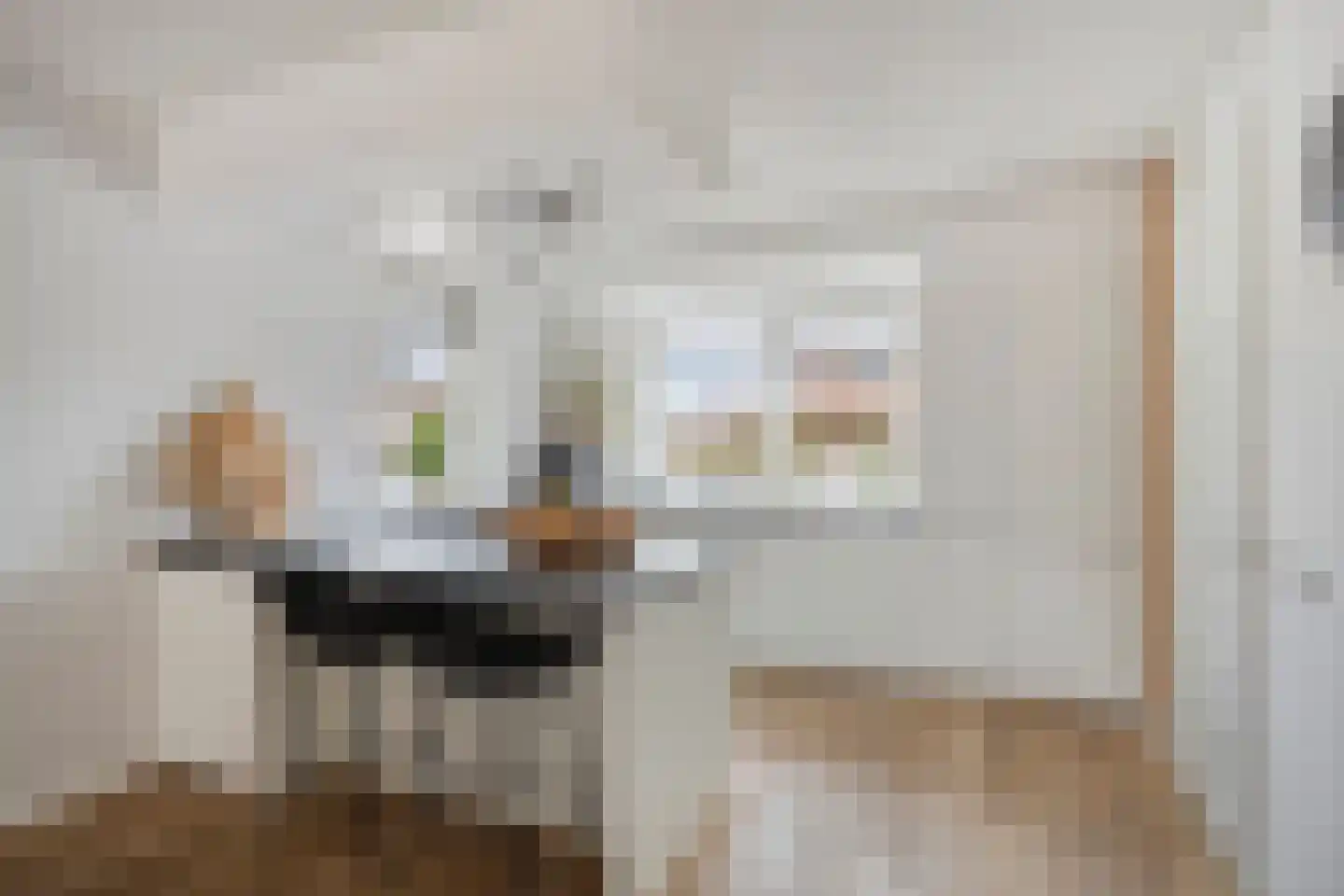 Dagpauwoog 30 Wolvega thumbnail 8