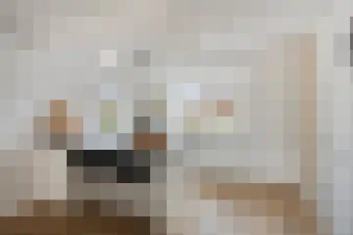 Dagpauwoog 30 Wolvega thumbnail 8