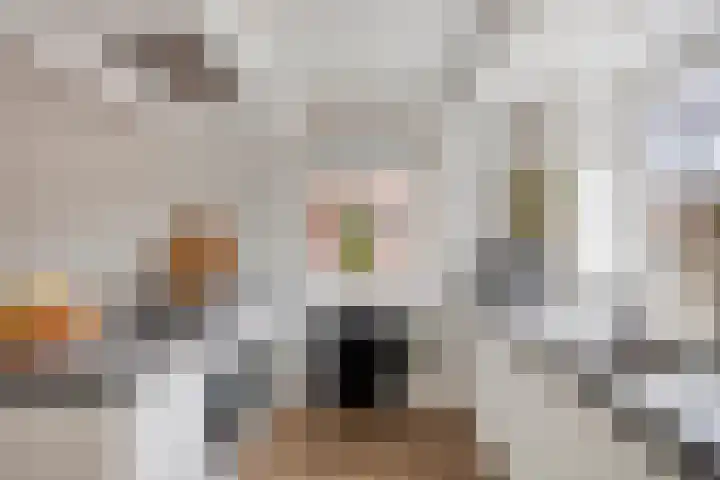 Dagpauwoog 30 Wolvega thumbnail 9