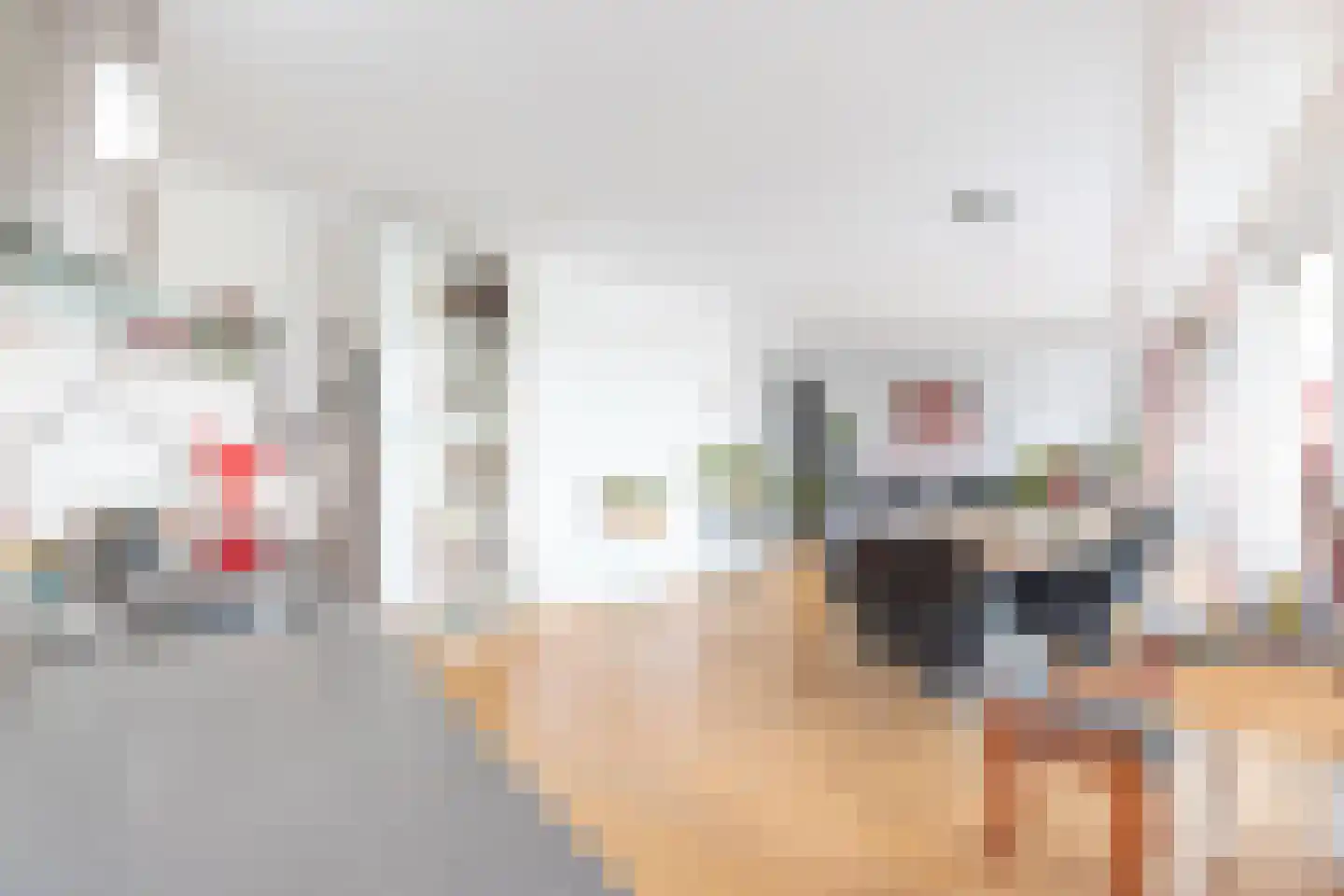 Dagpauwoog 37 Sneek thumbnail 14