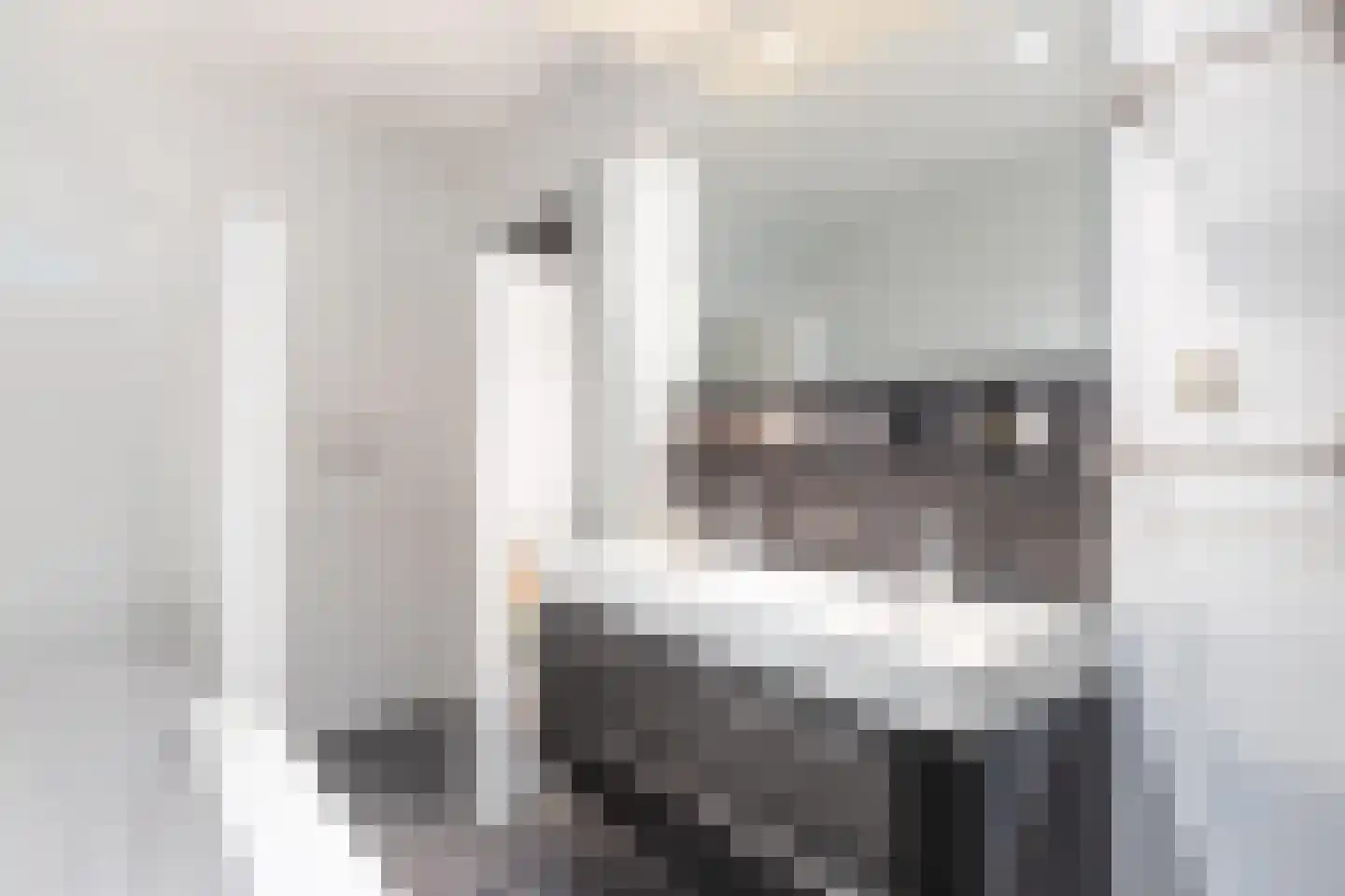 Dagpauwoog 37 Sneek thumbnail 16