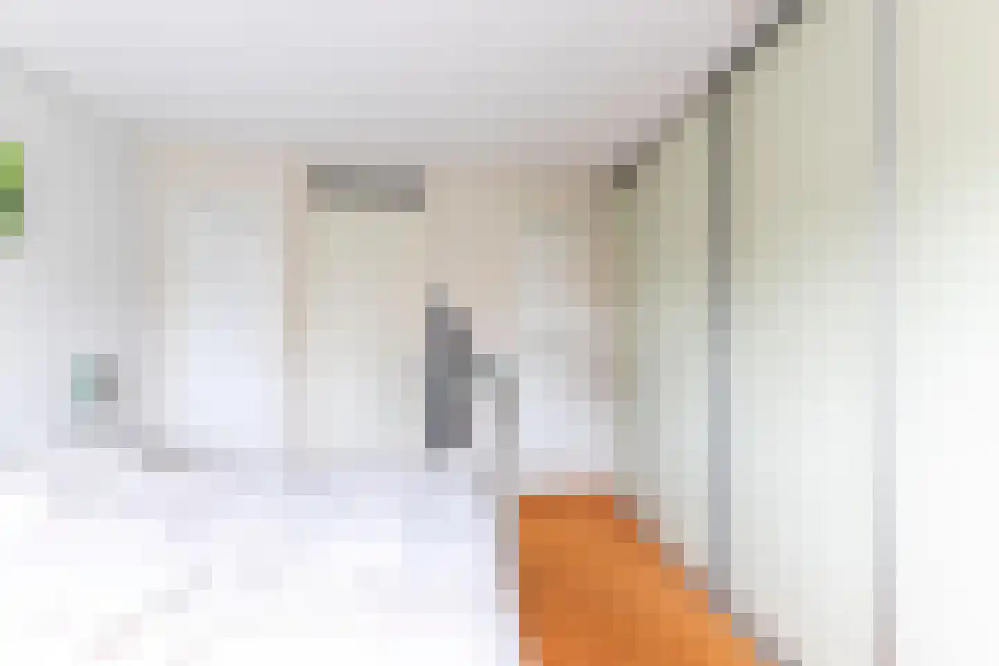 Dagpauwoog 37 Sneek thumbnail 19