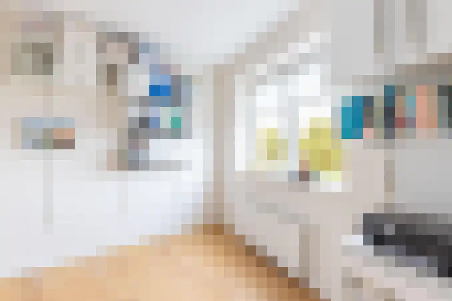 Dagpauwoog 37 Sneek thumbnail 21