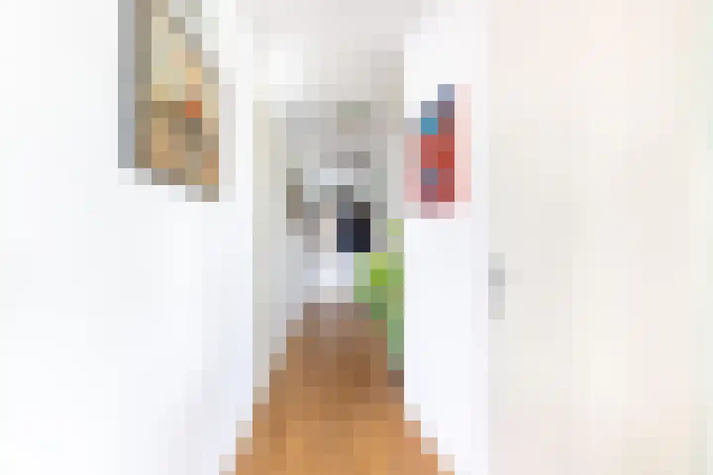 Dagpauwoog 37 Sneek thumbnail 23