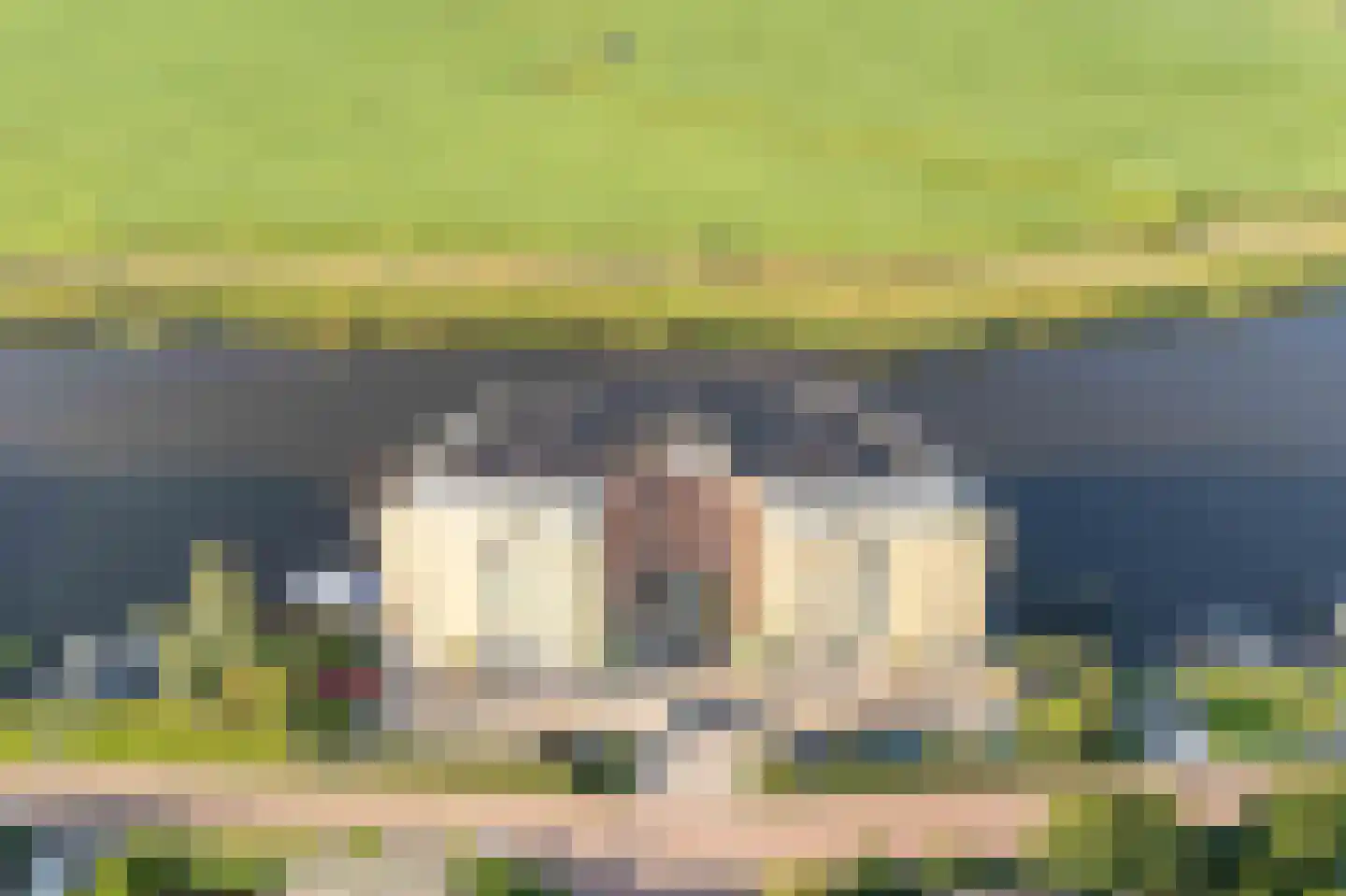 Dagpauwoog 37 Sneek thumbnail 30