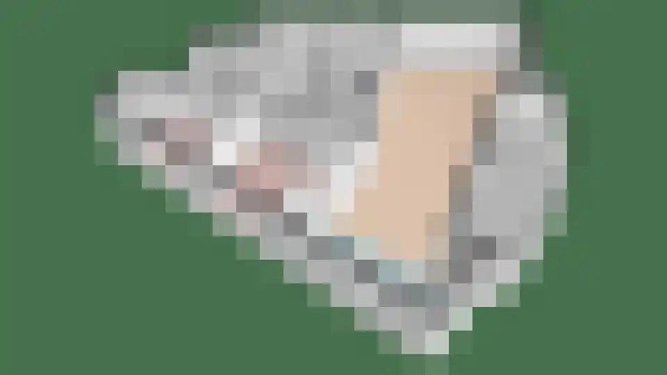 Dagpauwoog 37 Sneek thumbnail 33