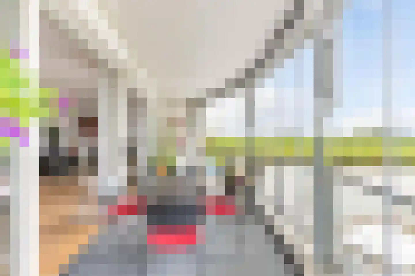 Dagpauwoog 37 Sneek thumbnail 6