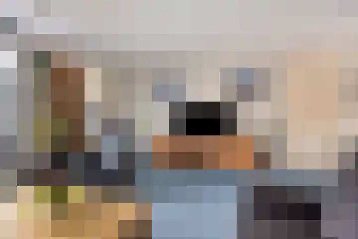 Dagpauwoog 4 A Emmen thumbnail 11