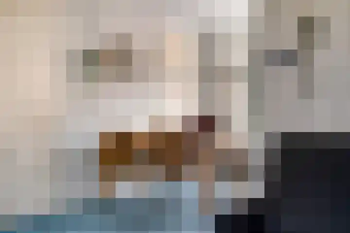 Dagpauwoog 4 A Emmen thumbnail 12