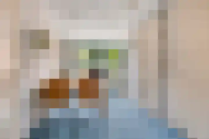 Dagpauwoog 4 A Emmen thumbnail 13