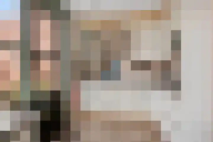 Dagpauwoog 4 A Emmen thumbnail 17