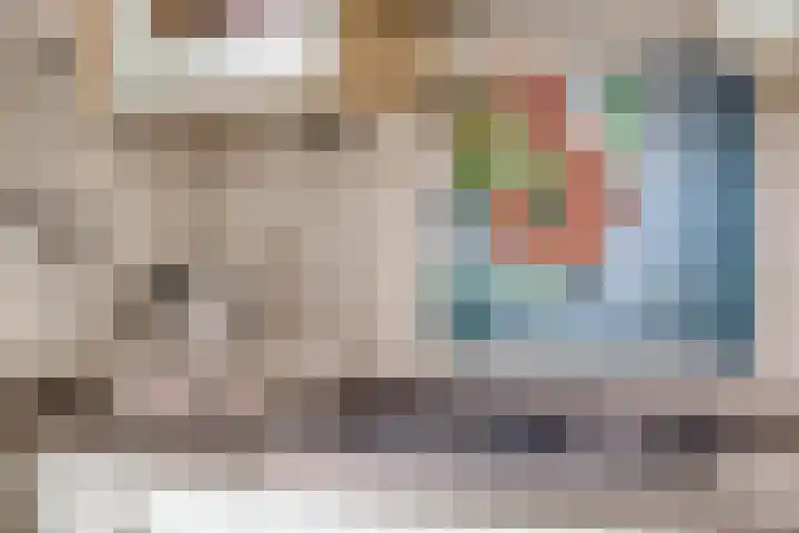 Dagpauwoog 4 A Emmen thumbnail 20
