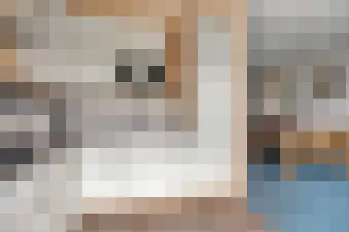 Dagpauwoog 4 A Emmen thumbnail 21