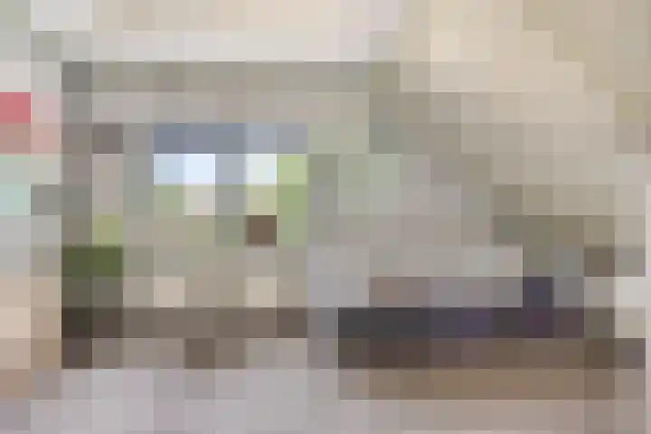 Dagpauwoog 4 A Emmen thumbnail 29