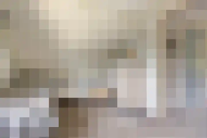 Dagpauwoog 4 A Emmen thumbnail 30