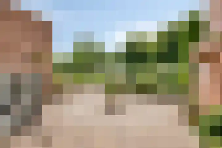 Dagpauwoog 4 A Emmen thumbnail 35