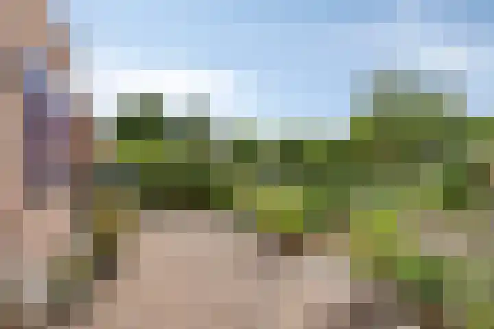 Dagpauwoog 4 A Emmen thumbnail 36