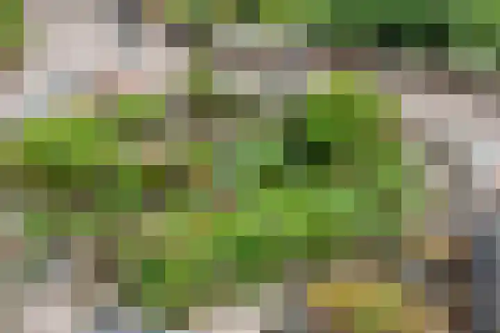 Dagpauwoog 4 A Emmen thumbnail 38